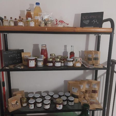 Casa Nel Bosco, Appennino Tosco Emiliano Apartman Camugnano Kültér fotó