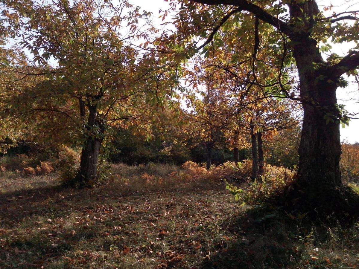 Casa Nel Bosco, Appennino Tosco Emiliano Apartman Camugnano Kültér fotó