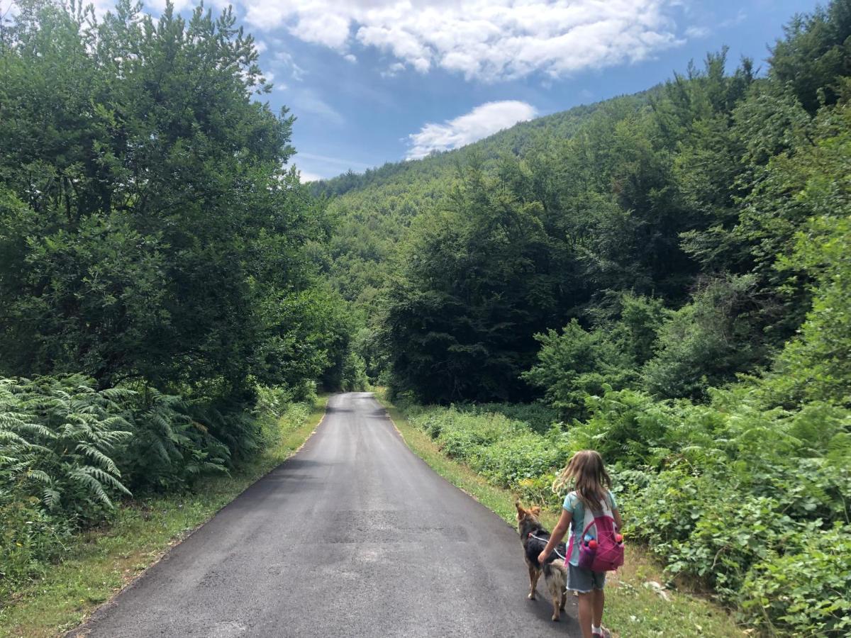 Casa Nel Bosco, Appennino Tosco Emiliano Apartman Camugnano Kültér fotó
