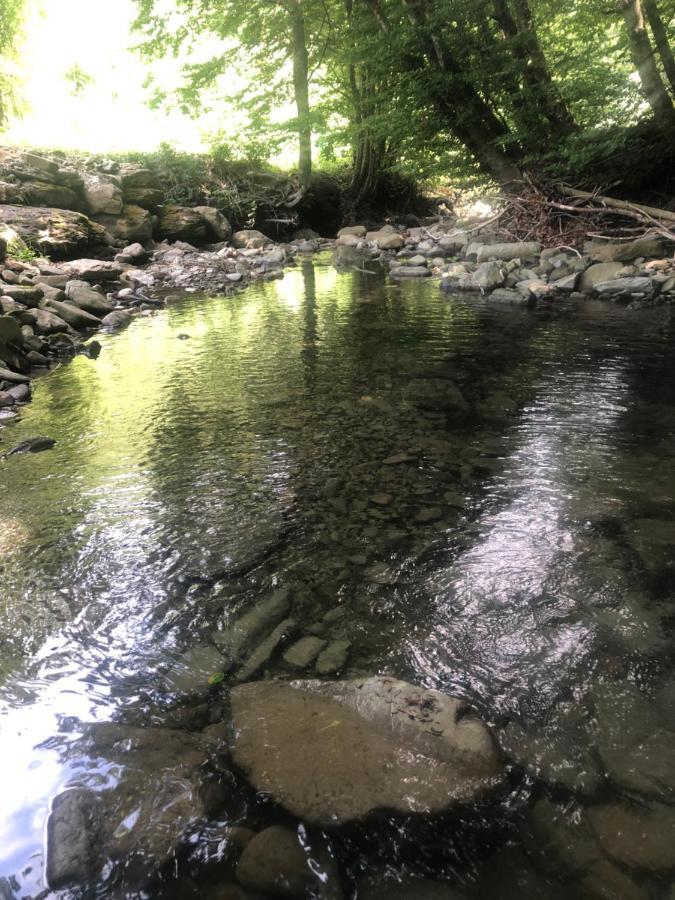Casa Nel Bosco, Appennino Tosco Emiliano Apartman Camugnano Kültér fotó